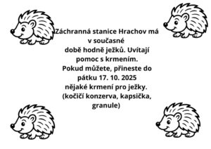 Jídlo pro ježečky